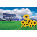 Système de module de panneau photovoltaïque Panneau solaire 300w liste de prix par watt Chine